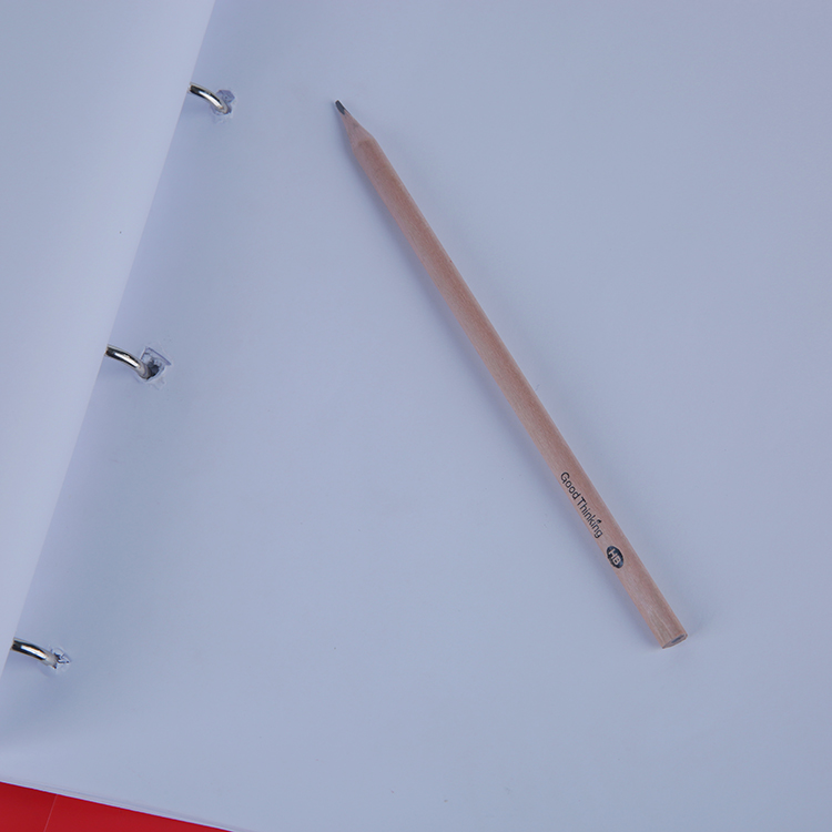 Wholesale Environmental A4 Metal Ring Binder Document Folder XS20010