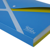 Eco Friendly Plastic Separators 13 Pocket Expanding Hard Cover File Folder XS29015